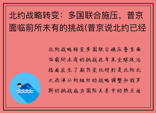 北约战略转变：多国联合施压，普京面临前所未有的挑战(普京说北约已经没有存在的必要了)