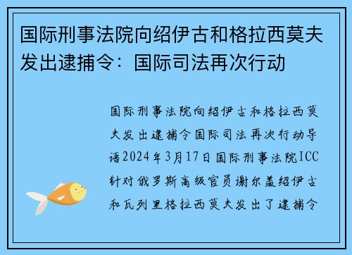 国际刑事法院向绍伊古和格拉西莫夫发出逮捕令：国际司法再次行动